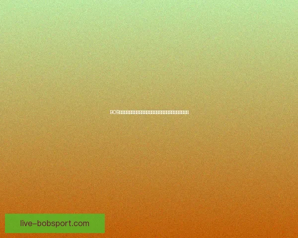 BOB体育助力用户畅享全方位体育赛事体验开启未来运动娱乐新篇章